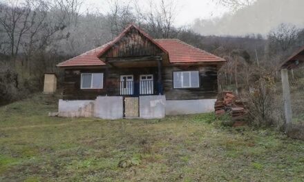 Satul din România înghițit de pădure, una dintre cele mai frumoase așezări din vestul țării