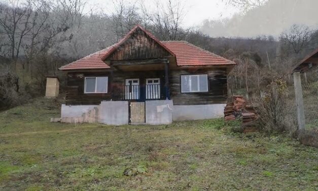 Satul din România înghițit de pădure, una dintre cele mai frumoase așezări din vestul țării
