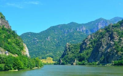 Știați care este cea mai mare pădure din România?