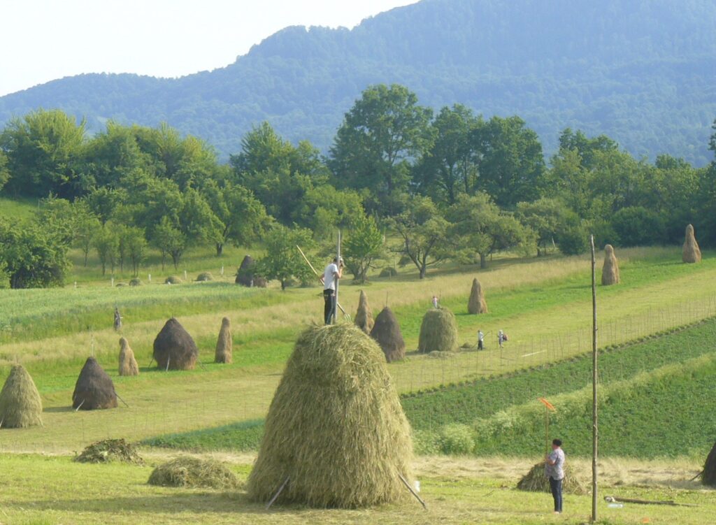 Satul Breb credit foto Teofil Ivanciuc