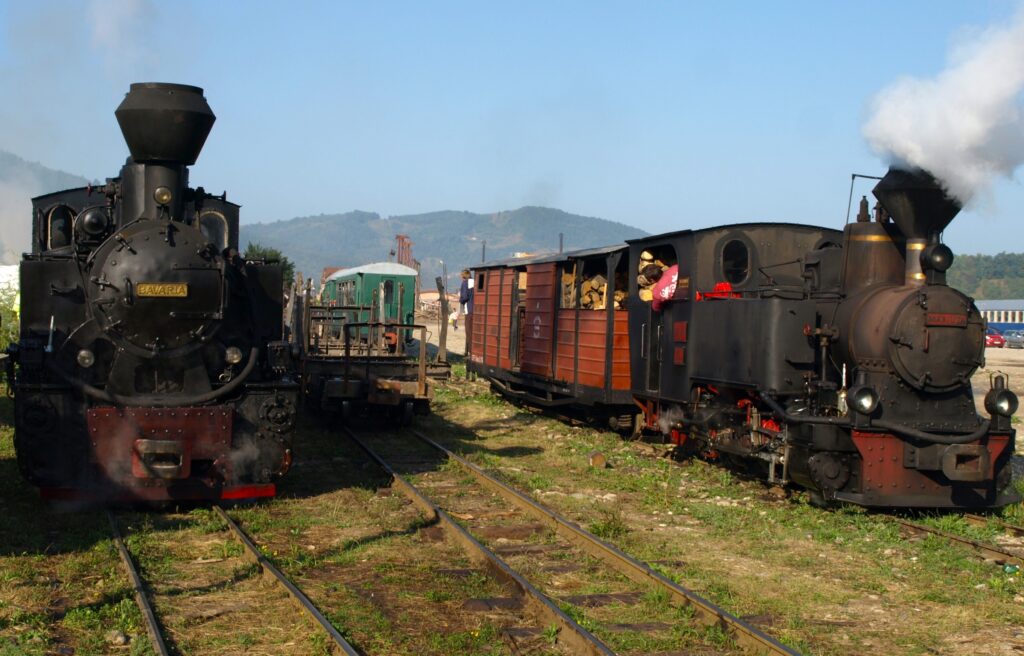 Mocănița de pe Valea Vaserului credit foto Teofil Ivanciuc