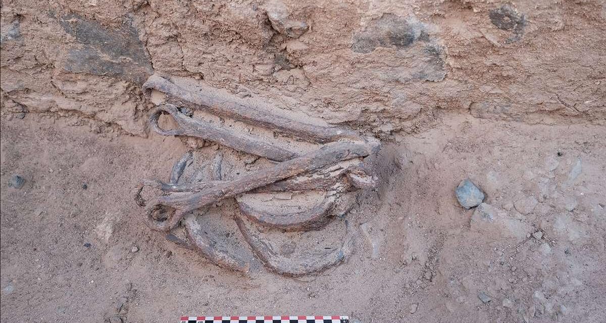 Arheologii au găsit cătușe, folosite acum 2200, în Egipt. La ce erau întrebuințate?
