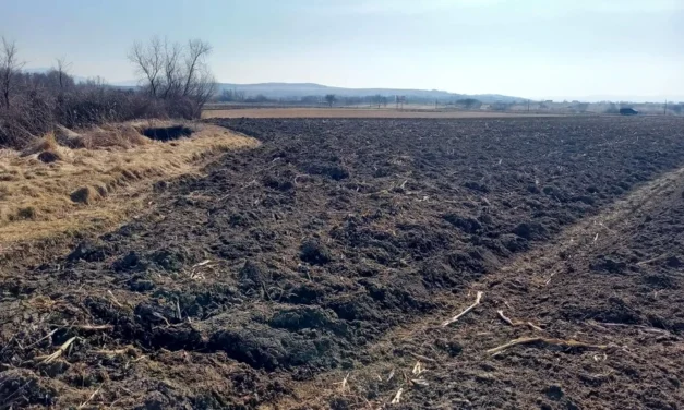 O așezare daco-germanică, descoperită în Sălaj