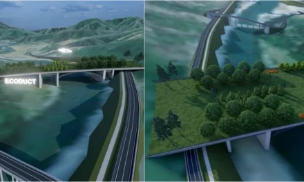 Unde se va ridica cel mai mare ecoductul din România și care este rolul său?