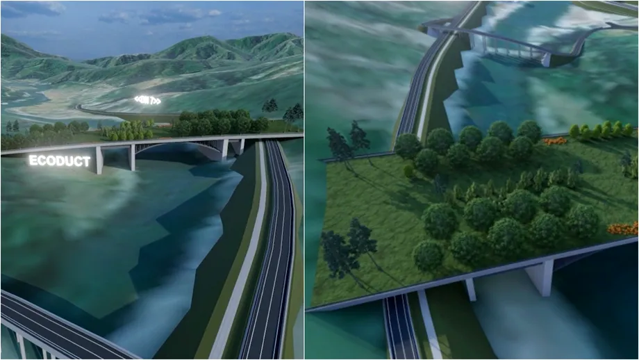 Unde se va ridica cel mai mare ecoductul din România și care este rolul său?