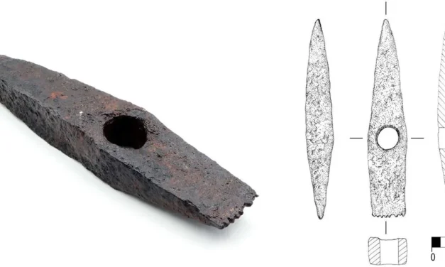 O descoperire arheologică uimitoare scoate la lumină măiestria meșteșugarilor daci