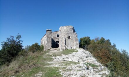 O cetate veche de 5.000 de ani descoperită într-o pădure deasă din Neamț