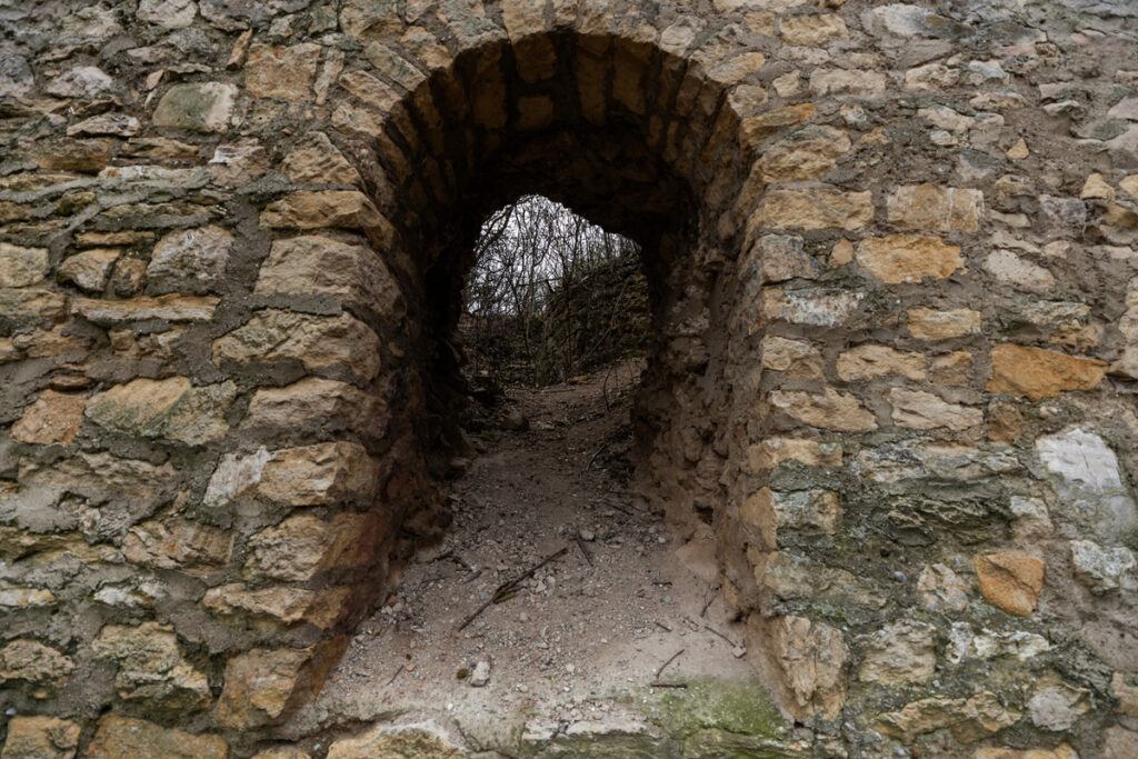 Cetatea Almașului