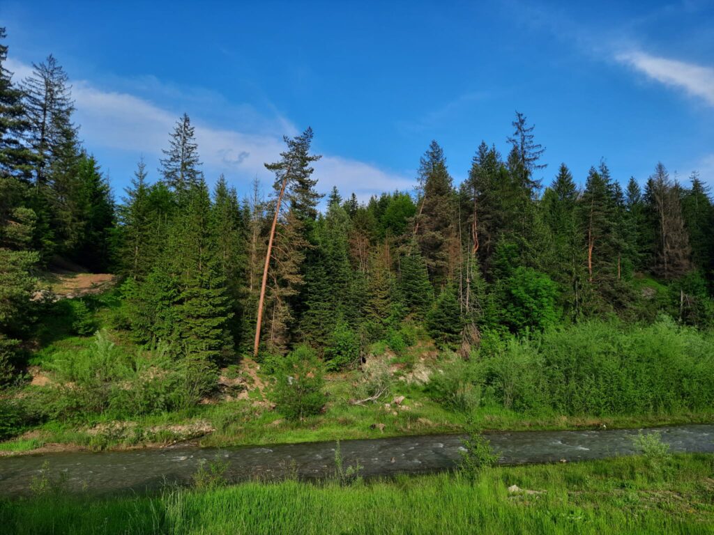 Peisaj la Manastirea Voronet, credit foto Tudor Sprînceană