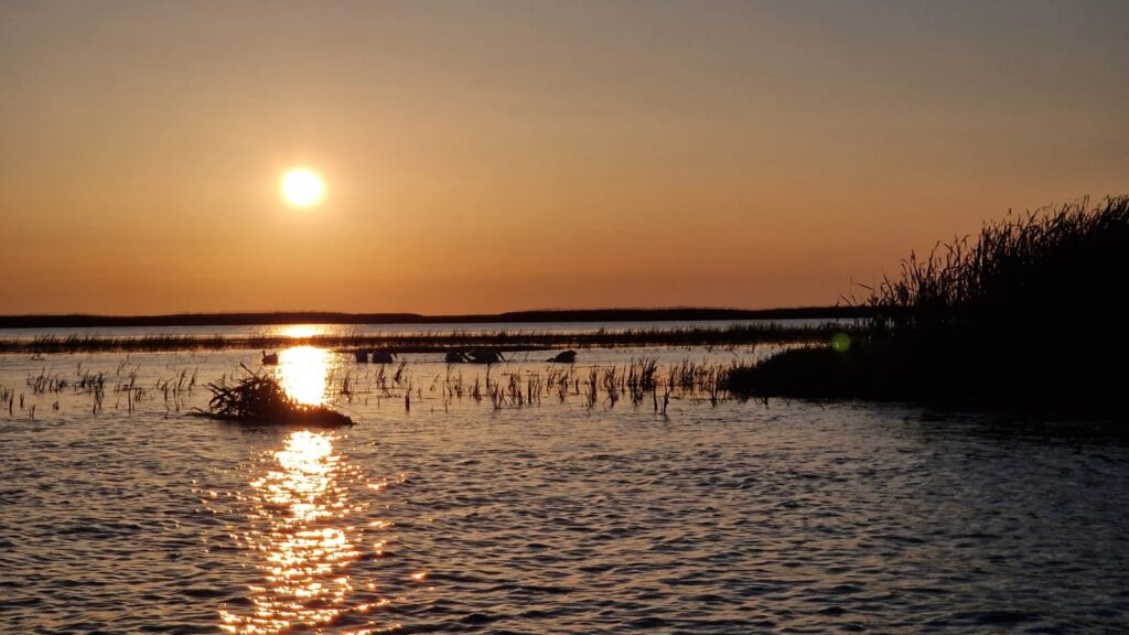 Apus în Delta Dunării, Sfântu Gheorghe, credit foto Sorin Rosu (Turism Istoric)