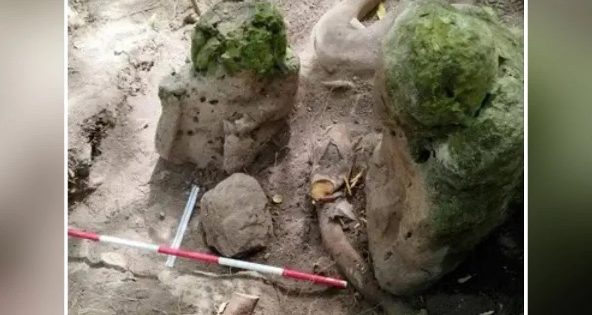 Orașele uitate ale civilizației maya: o redescoperire spectaculoasă în jungla Guatemalei