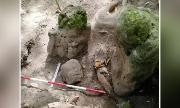 Orașele uitate ale civilizației maya: o redescoperire spectaculoasă în jungla Guatemalei