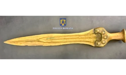 Sabie din Epoca Bronzului, descoperită în locuința unui bărbat din Bacău