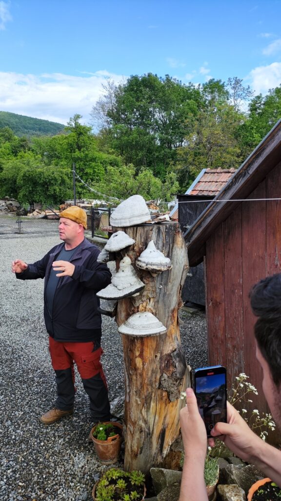 Corund, iasca de fag, mestesugar care explică procesul de prelucrare Foto Turism Istoric