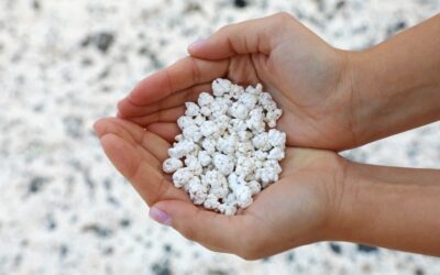 Plaja „Popcorn” din Fuerteventura: nisip bizar, fotografii spectaculoase… dar niciun șezlong sau baie