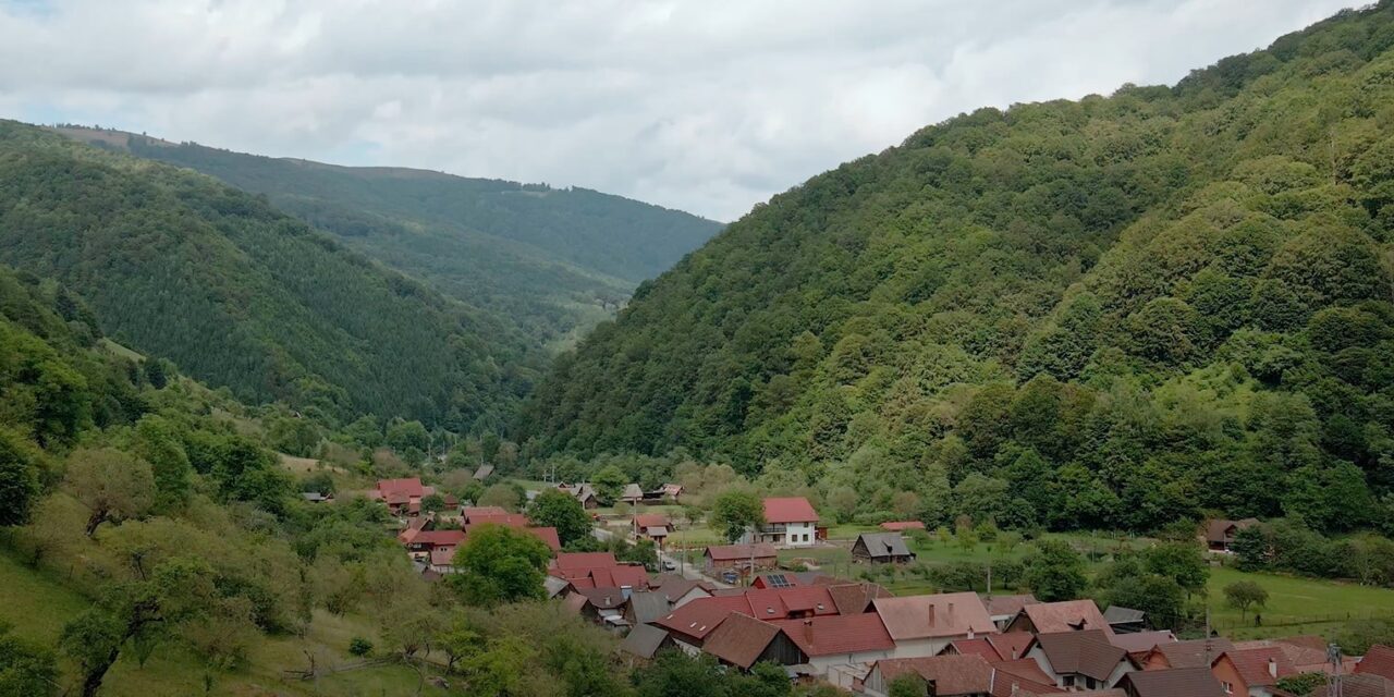 Casele tradiționale din Râu Sadului își recapătă culorile și poveștile