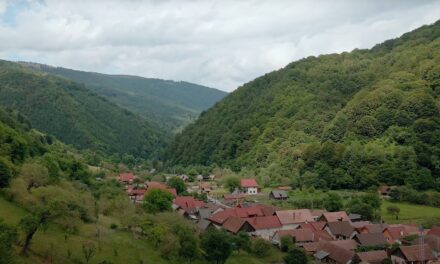 Casele tradiționale din Râu Sadului își recapătă culorile și poveștile