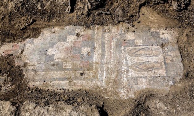 Arheologii au descoperit, într-o vilă romană antică, un mozaic reprezentând şlapi