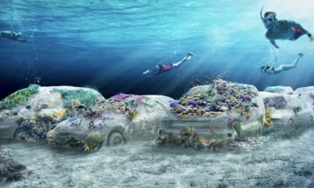 Zeci de mașini din beton, scufundate în ocean la Miami. Cum va arăta instalația care se transformă în recif de corali