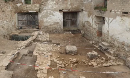Castelul din fața castelului: săpăturile de la Schloss Neuenburg dezvăluie vestigii medievale de rang înalt