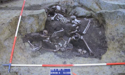 Scheletele găsite într-un mormânt comun aparțin unor soldați romani antici, potrivit unui studiu