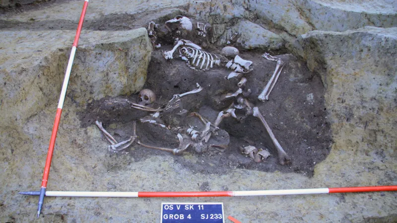 Scheletele găsite într-un mormânt comun aparțin unor soldați romani antici, potrivit unui studiu