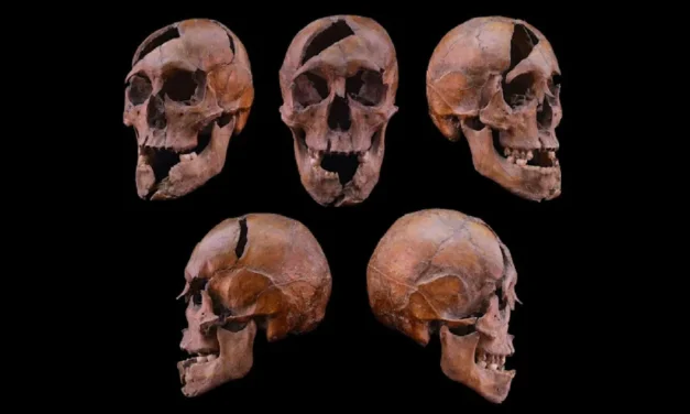 Un duce ucis cu cruzime: investigația criminalistică ce rescrie istoria medievală maghiară