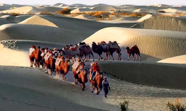 Un oraș medieval pierdut de pe Drumul Mătăsii, descoperit în munții înalți din Uzbekistan?