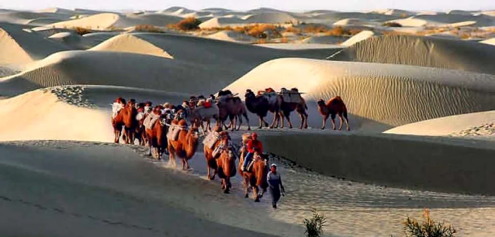 Un oraș medieval pierdut de pe Drumul Mătăsii, descoperit în munții înalți din Uzbekistan?