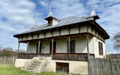 Legenda trunchiului stejarului multisecular de pe Valea Topologului