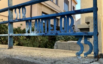 60 de imagini noi readuc la viaţă memoria Bucureştiului — un omagiu voluntarilor