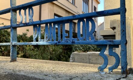 60 de imagini noi readuc la viaţă memoria Bucureştiului — un omagiu voluntarilor