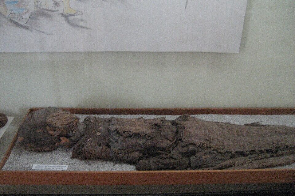 De ce aveau mumiile preistorice din deșertul Atacama un creier surprinzător de mic?