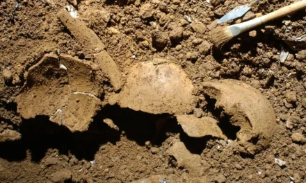 Dovezi ale unui incest produs în urmă cu 3.700 de ani, descoperite într-un cimitir din Epoca Bronzului