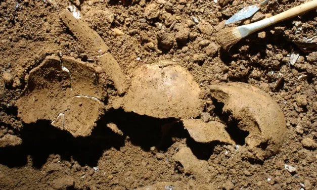 Dovezi ale unui incest produs în urmă cu 3.700 de ani, descoperite într-un cimitir din Epoca Bronzului