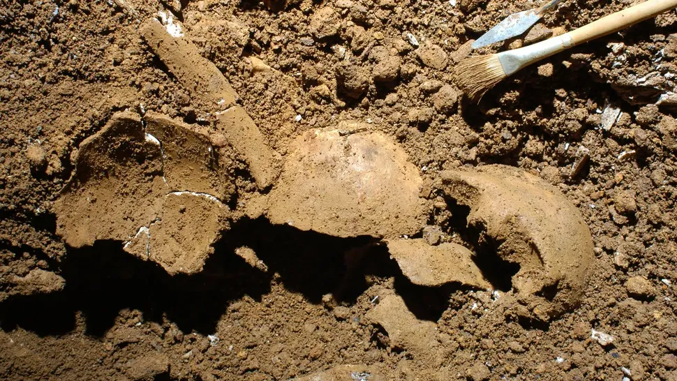 Dovezi ale unui incest produs în urmă cu 3.700 de ani, descoperite într-un cimitir din Epoca Bronzului