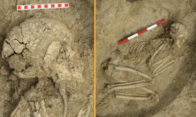 Un schelet descoperit în Bulgaria dezvăluie un secret șocant: Tânărul care a supraviețuit atacului unui leu