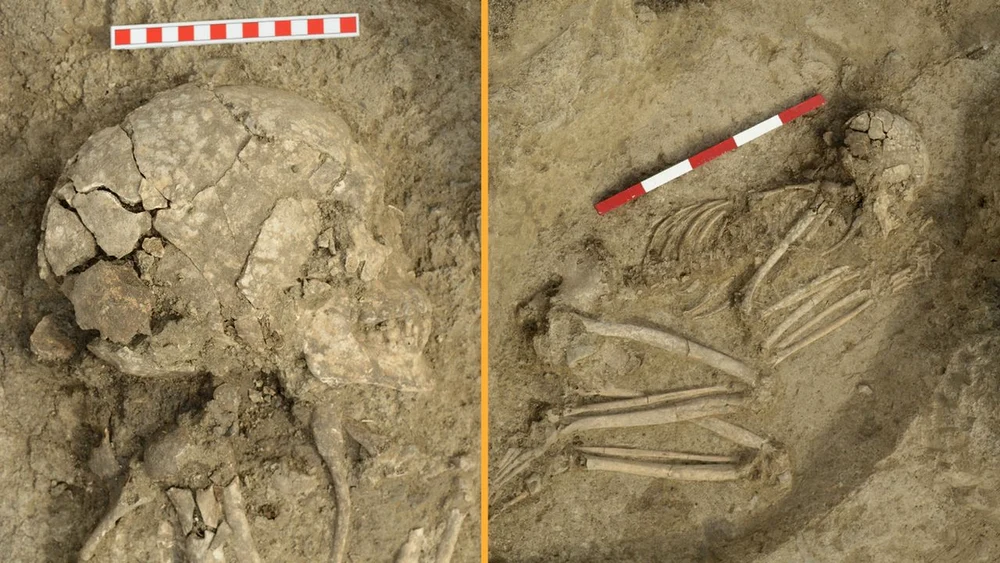 Un schelet descoperit în Bulgaria dezvăluie un secret șocant: Tânărul care a supraviețuit atacului unui leu