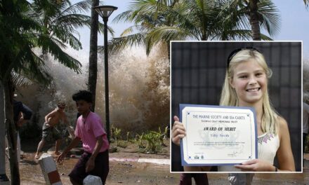 A doua zi de Crăciun 2004, pe o plajă din Thailanda: un copil atent la geografie a înțeles că urmează moartea
