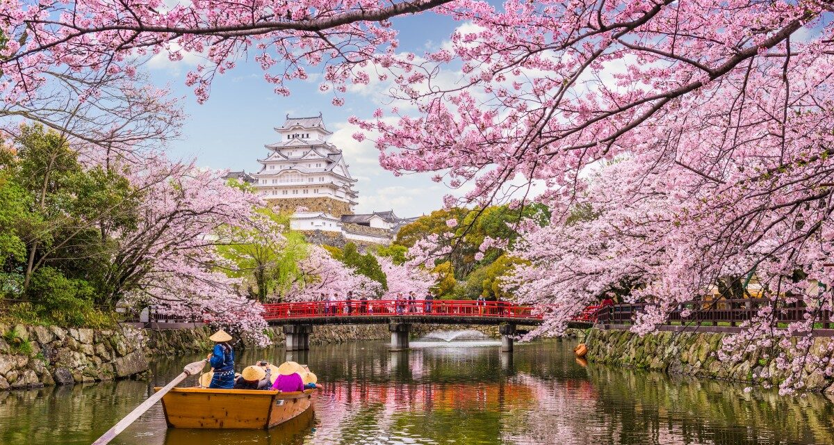 Schimbările climatice dau peste cap unul dintre cele mai importante evenimente turistice din lume: sakura va începe mai devreme în 2026