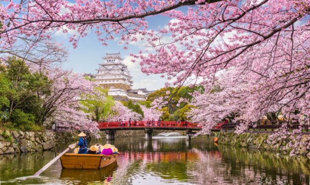 Schimbările climatice dau peste cap unul dintre cele mai importante evenimente turistice din lume: sakura va începe mai devreme în 2026