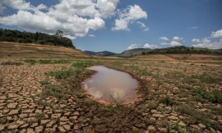 „Faliment global al apei”: cum epoca modernă a epuizat sistemele de apă ale planetei