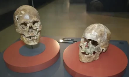 Un craniu vechi de 5.000 de ani dezvăluie primele intervenții chirurgicale craniene din Anatolia