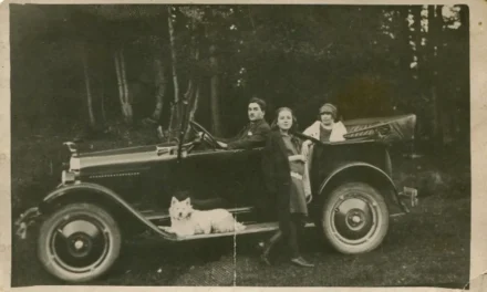 Câți șoferi existau în România anului 1935?