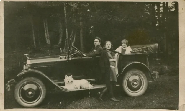 Câți șoferi existau în România anului 1935?
