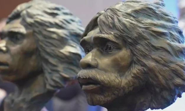 Cranii de Homo erectus vechi de 1,77 milioane de ani descoperite în China contestă cronologiile consacrate ale dispersiei umane