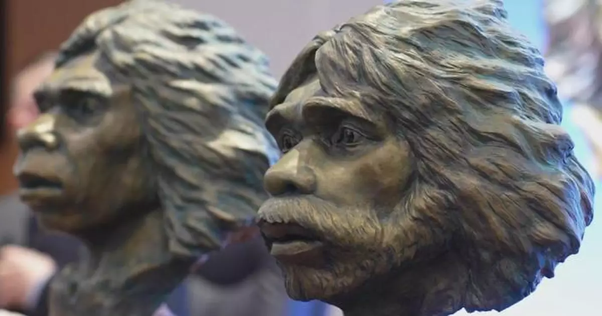 Cranii de Homo erectus vechi de 1,77 milioane de ani descoperite în China contestă cronologiile consacrate ale dispersiei umane