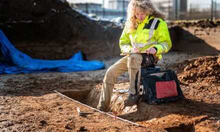 Descoperire arheologică majoră la Dortmund: așezare preistorică sub un campus universitar