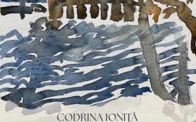 Expozitia  „Însemne ale locuirii” a artistei Codrina Ioniță