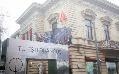 Iubeşte! În oglinda-gigant „Poarta sărutului”, „Tu ești Brâncuși!”